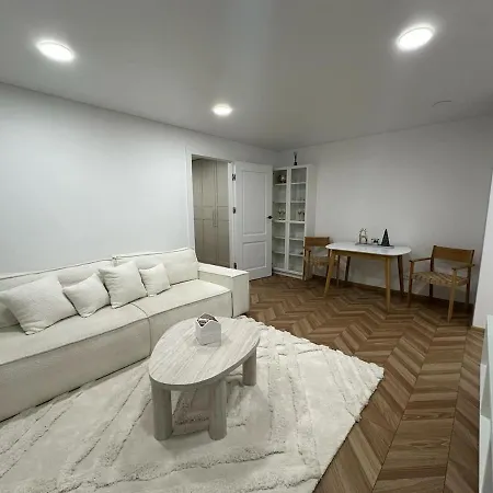 S Daukanto 41 Apartment